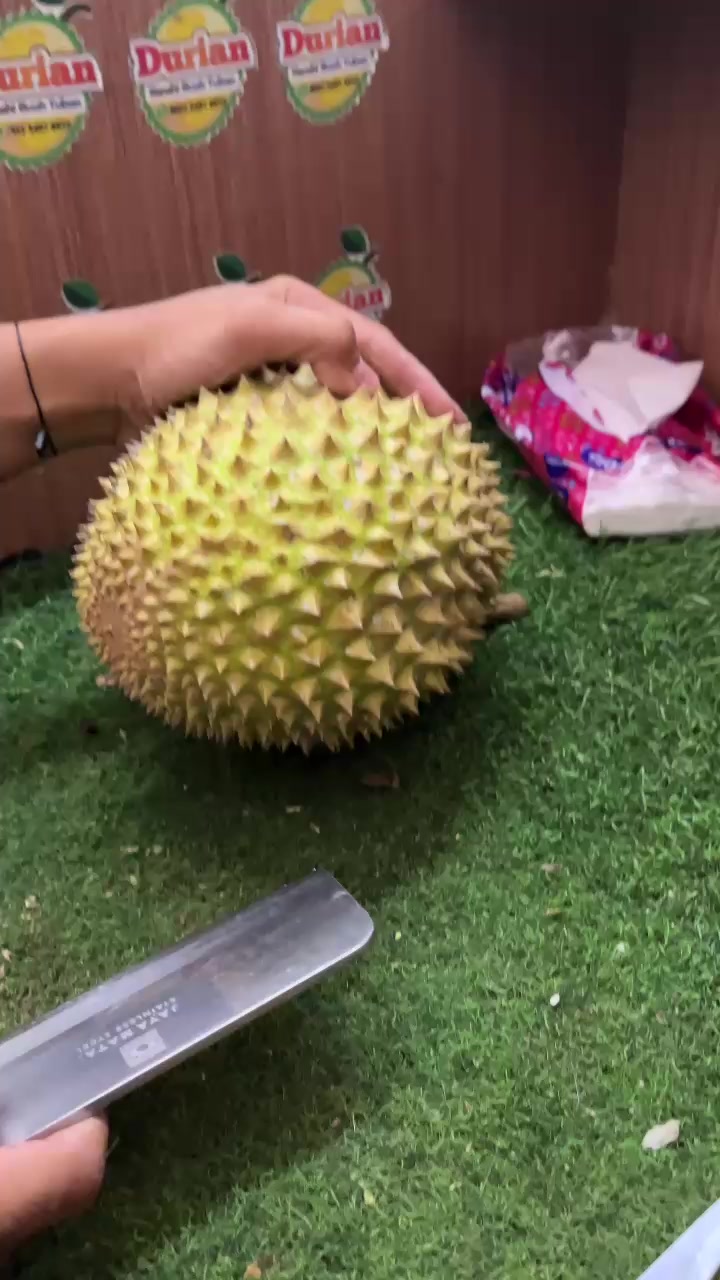 @Kenzhi Durian Tuban