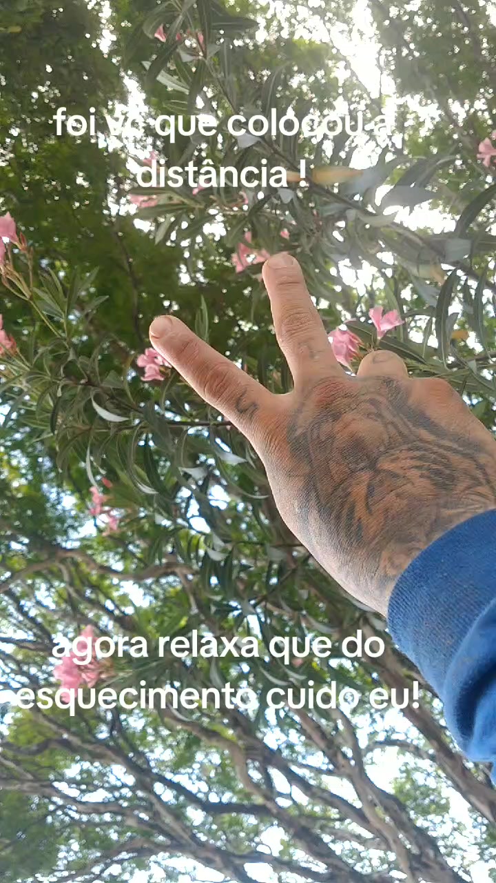 @Breno veiga