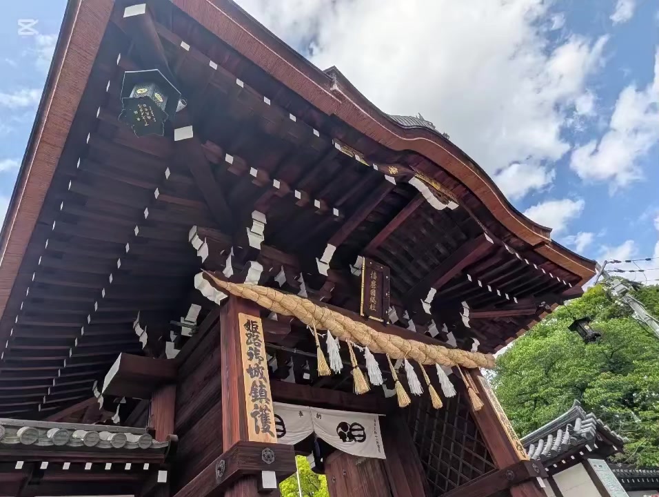 @自由人