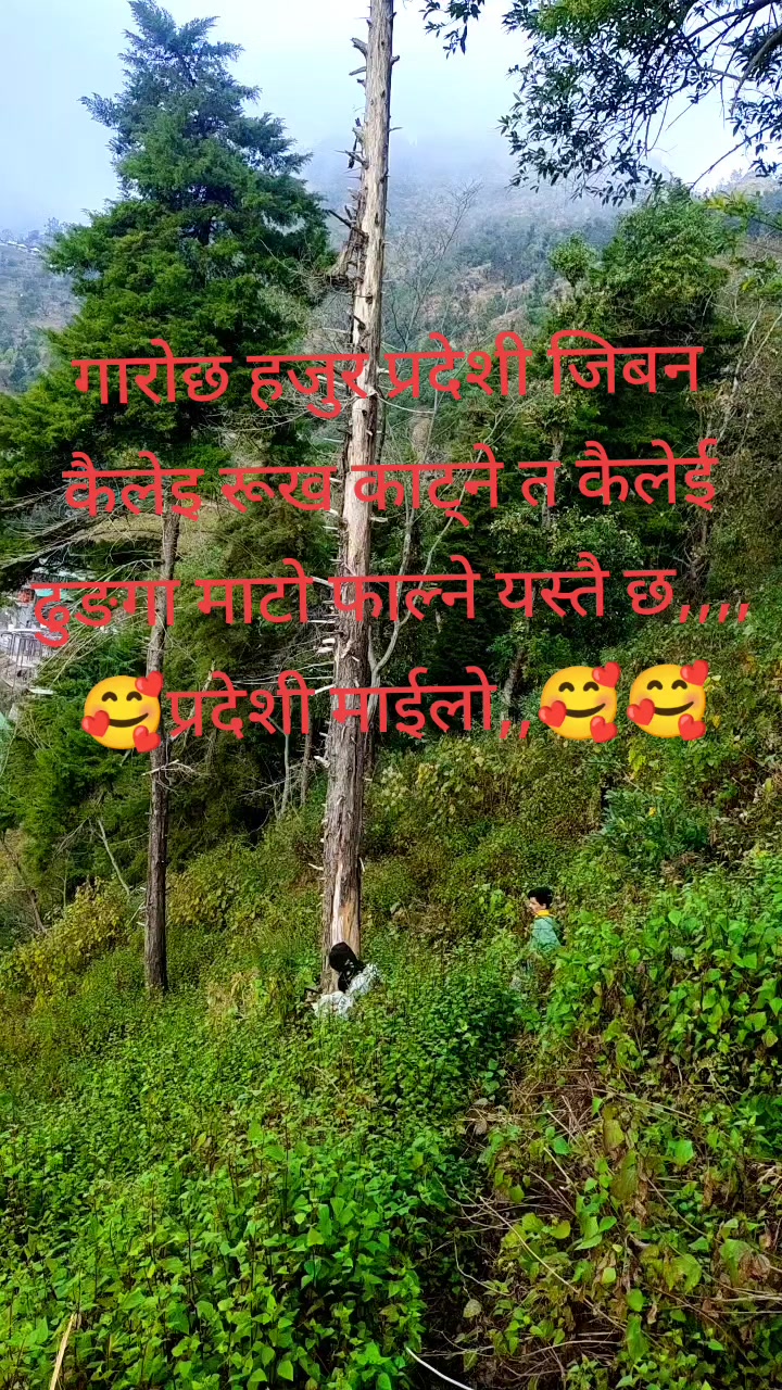 @प्रर्देशी माईलो💪