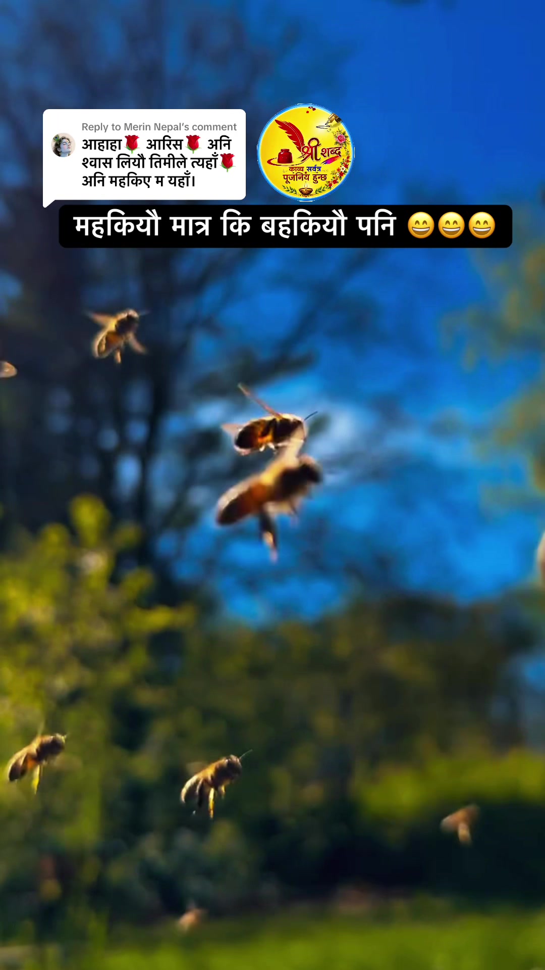 @🌿श्रीशब्द….✍️🕊️🍁🍂
