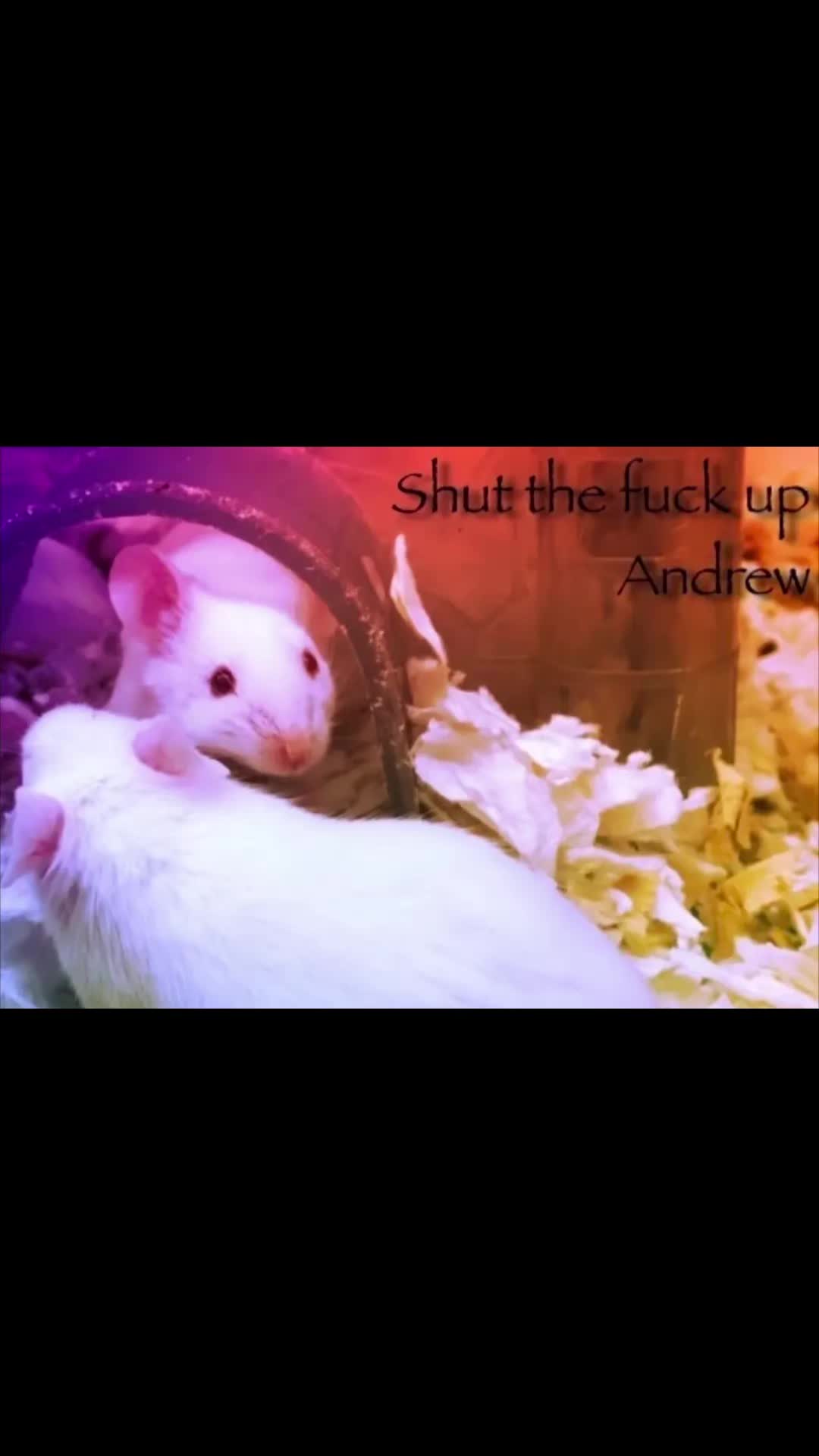 @Ramone