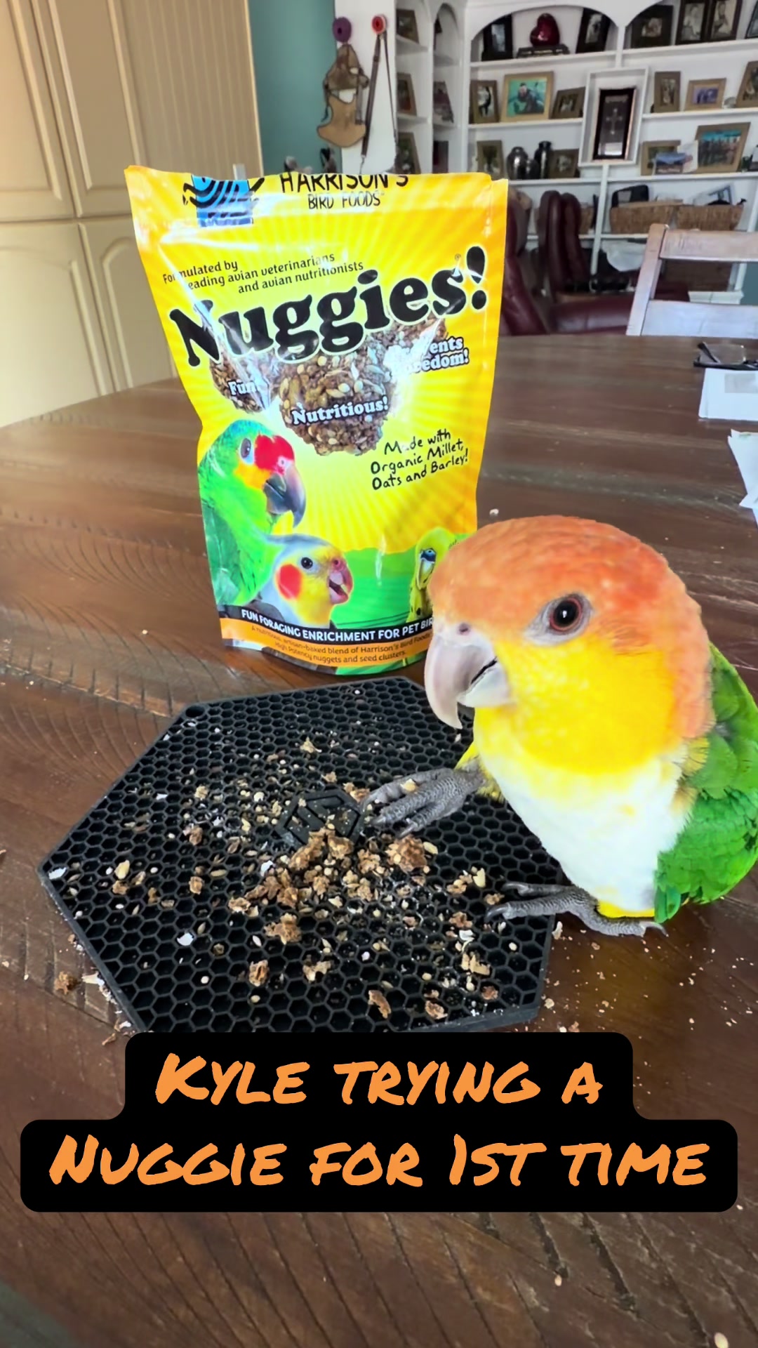 @Kyle The Caique