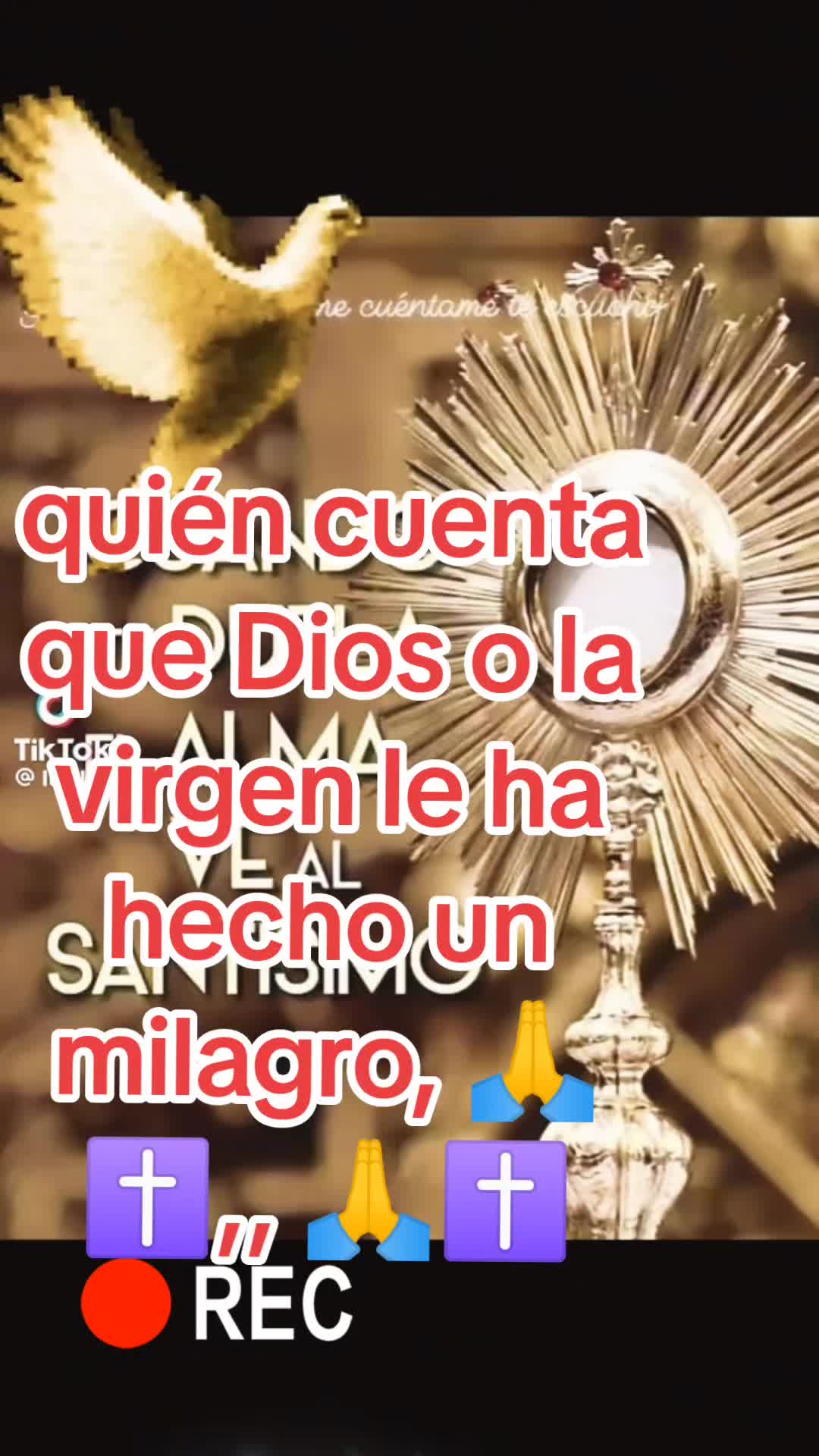 @Elena Canedo