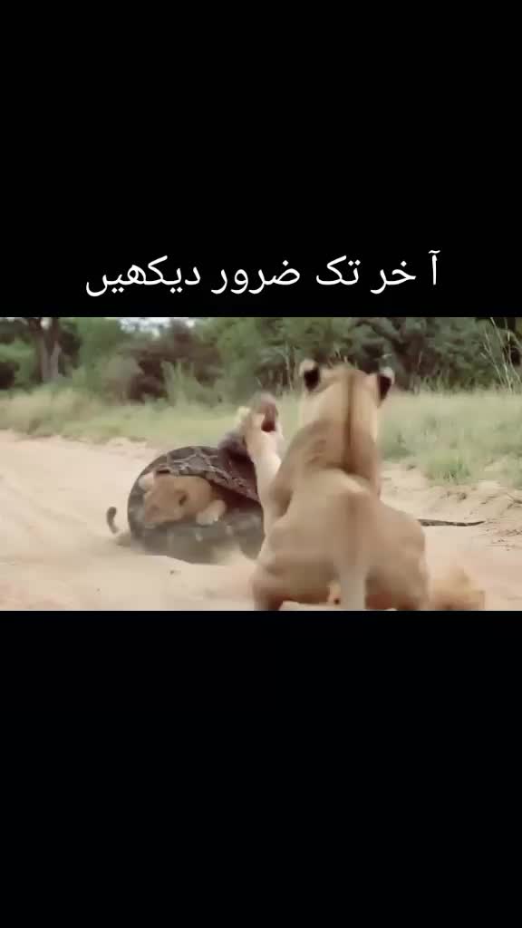 @Muhammad Raees