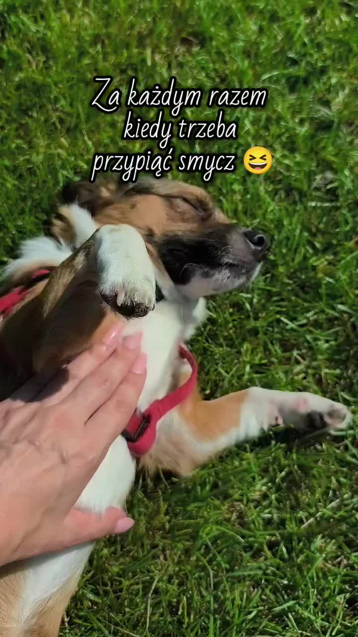@𝓛𝓾𝓬𝔂𝓷𝓪ᥫ᭡.
