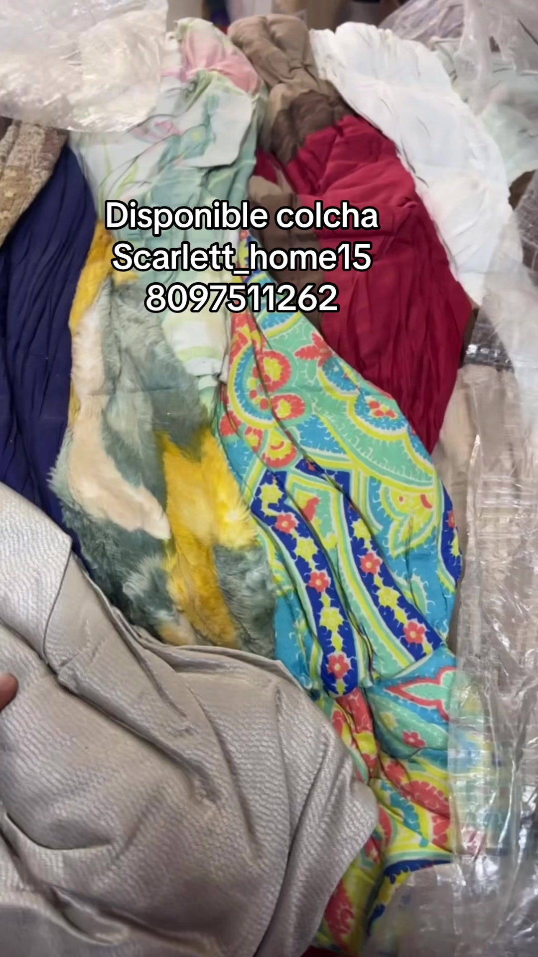 @Scarlett Home8097511262