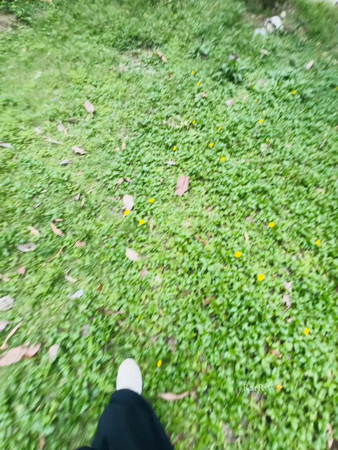 @đđ°đđđ~đĻ