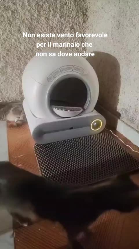 @ELETTRA L'ANIMALISTA