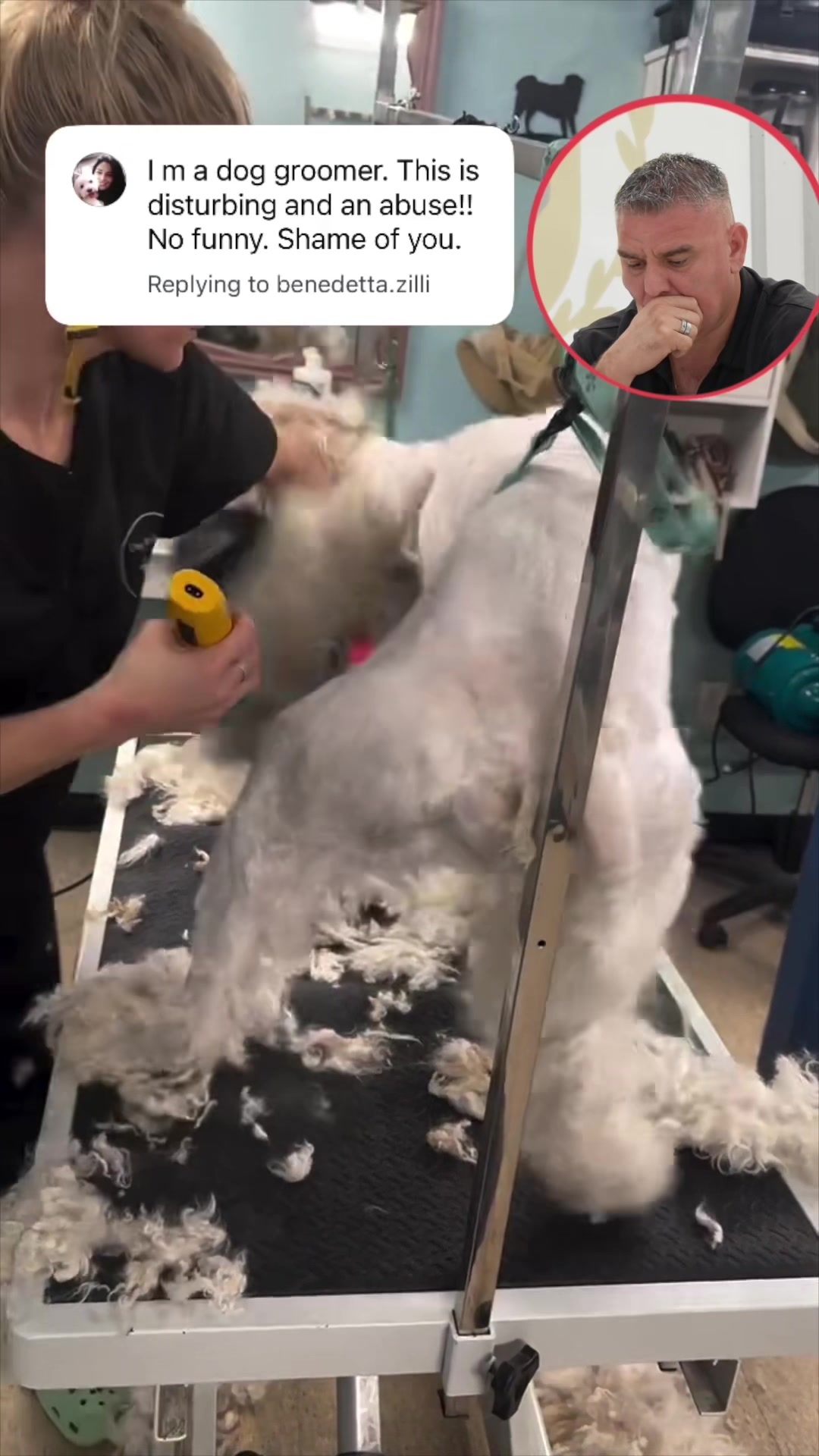 @NorCal Grooming Academy