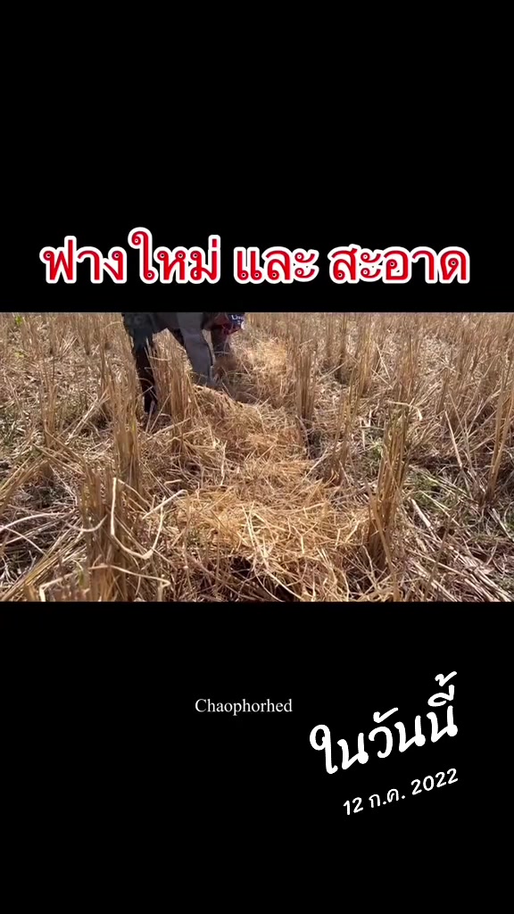 @เกษตรกรรม บูรณาการ