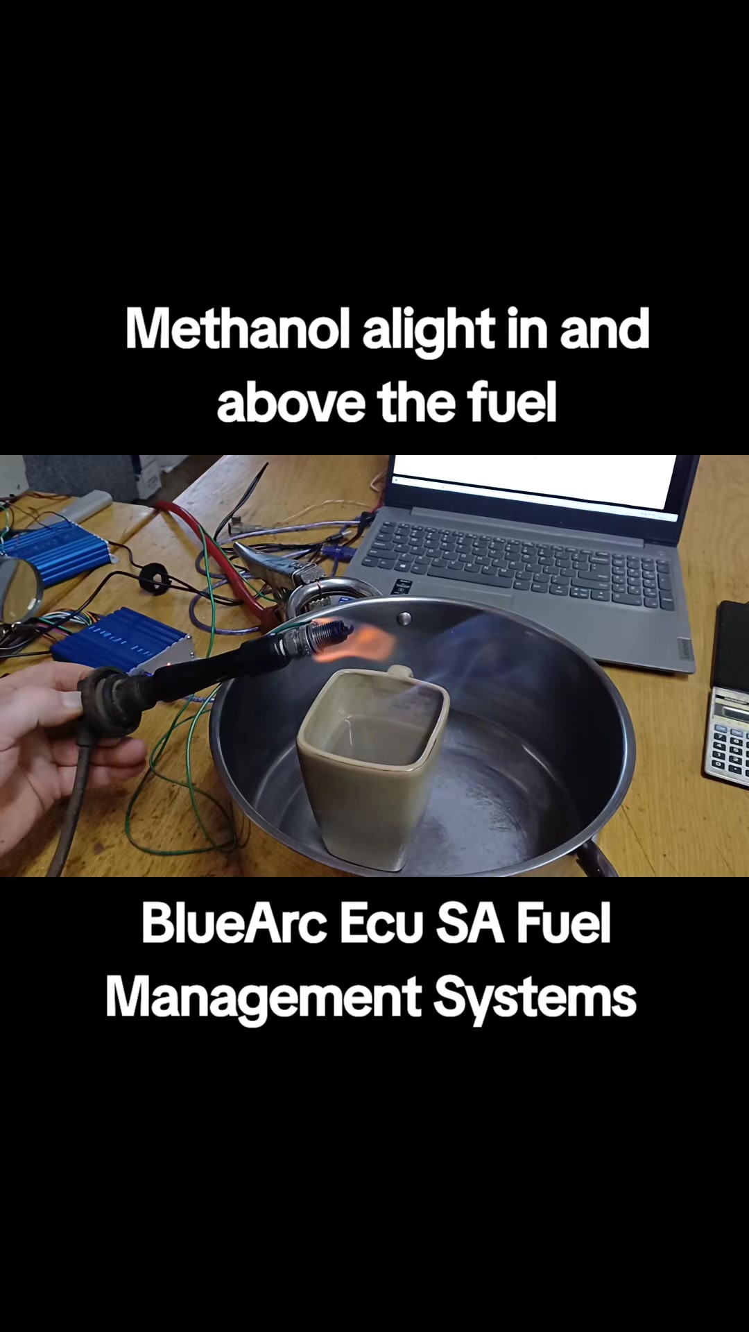 @BlueArc Ecu South Africa