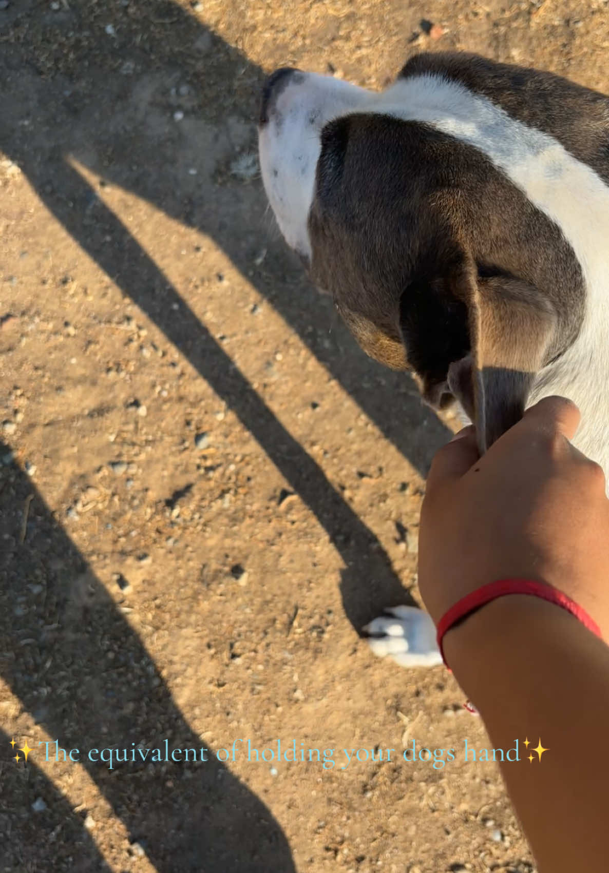 @caponethepitty