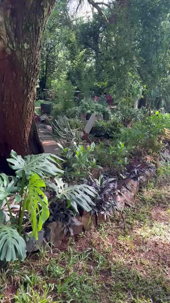 @kaahapa