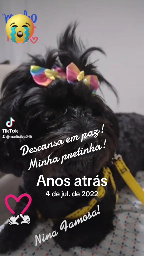 @#Bella#amais#bela.