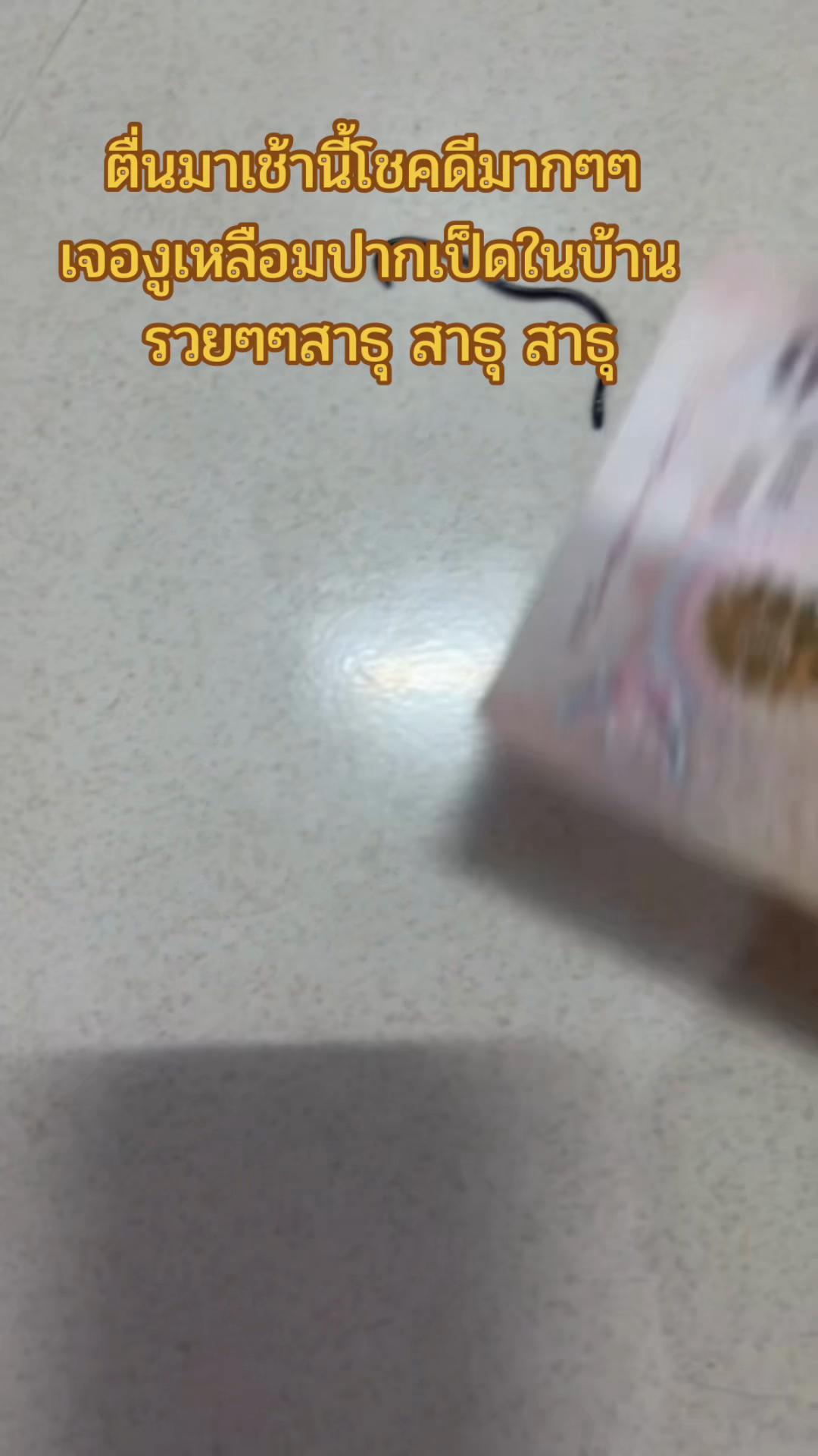 @ครูใต้สายมู8⃣5⃣5⃣