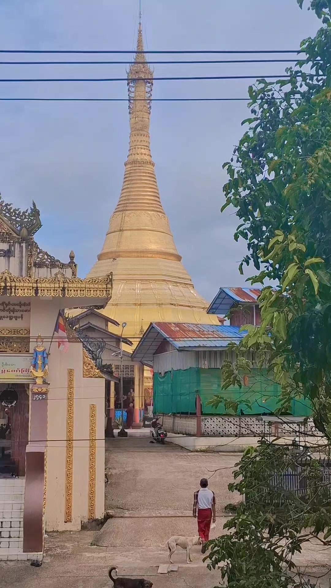 @ပျိုမေ