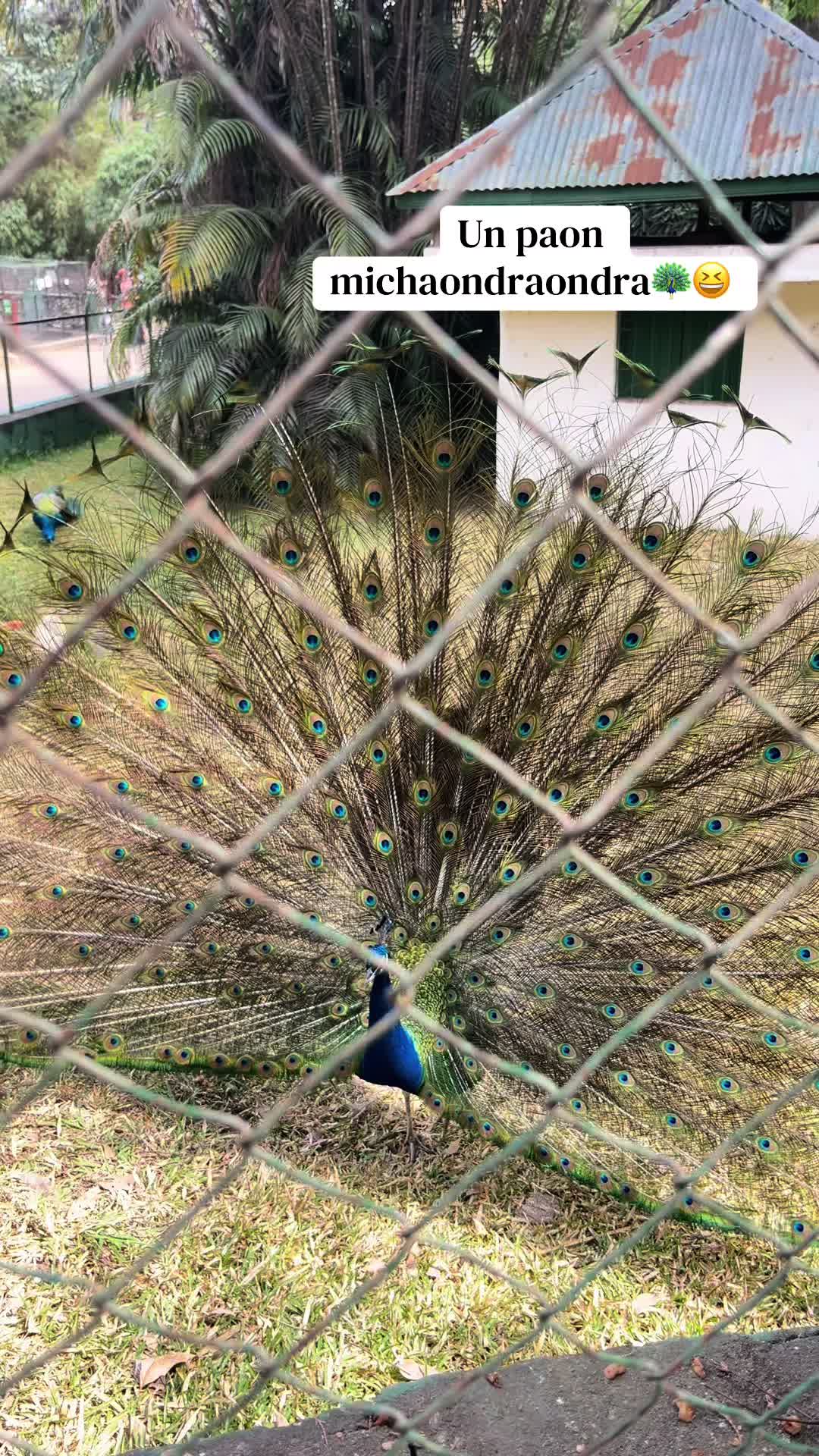 @𝓐ï𝓻𝓪𝓱🌸🇲🇬