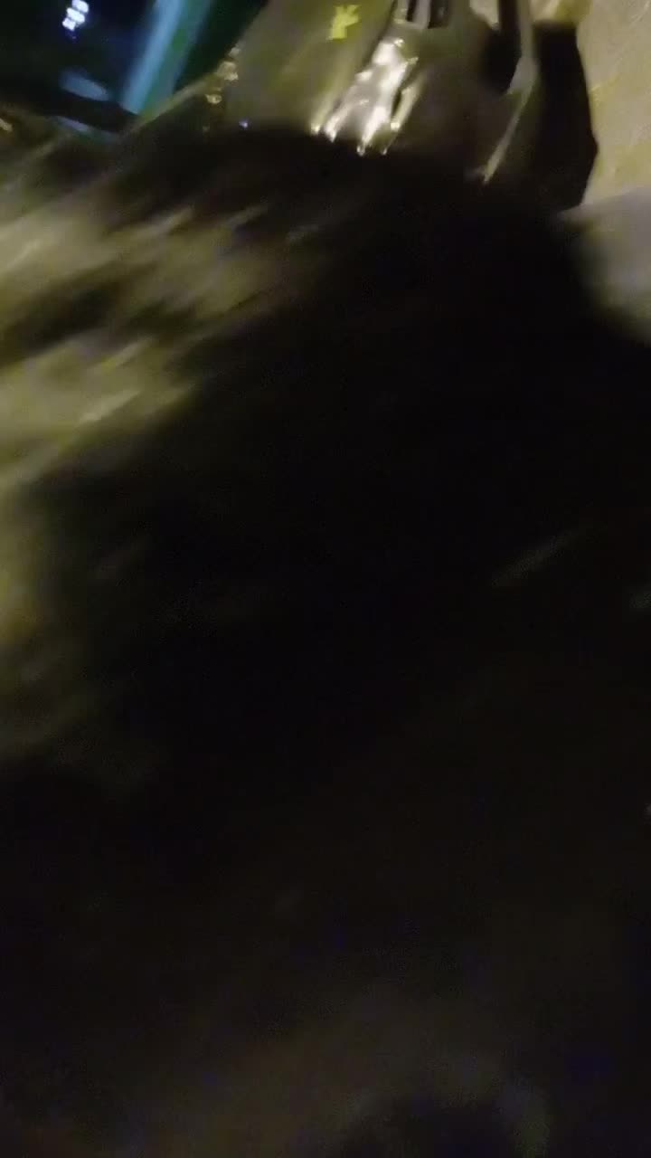 @anuta