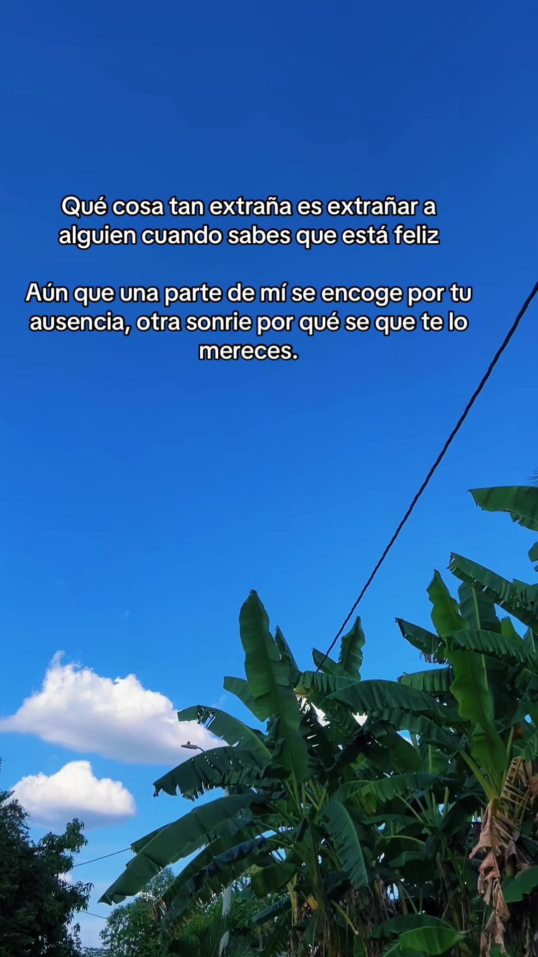 @Kaleider Salcedo