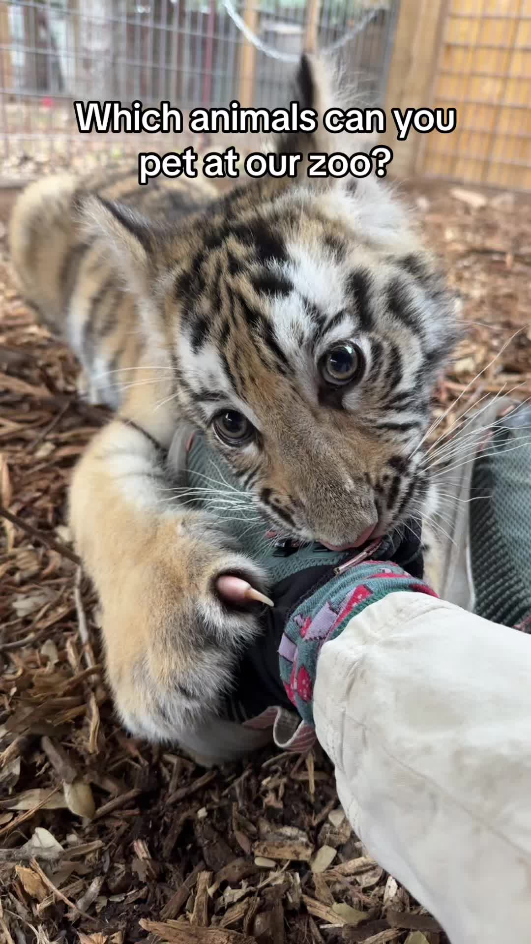 @Texas Wildlife Park