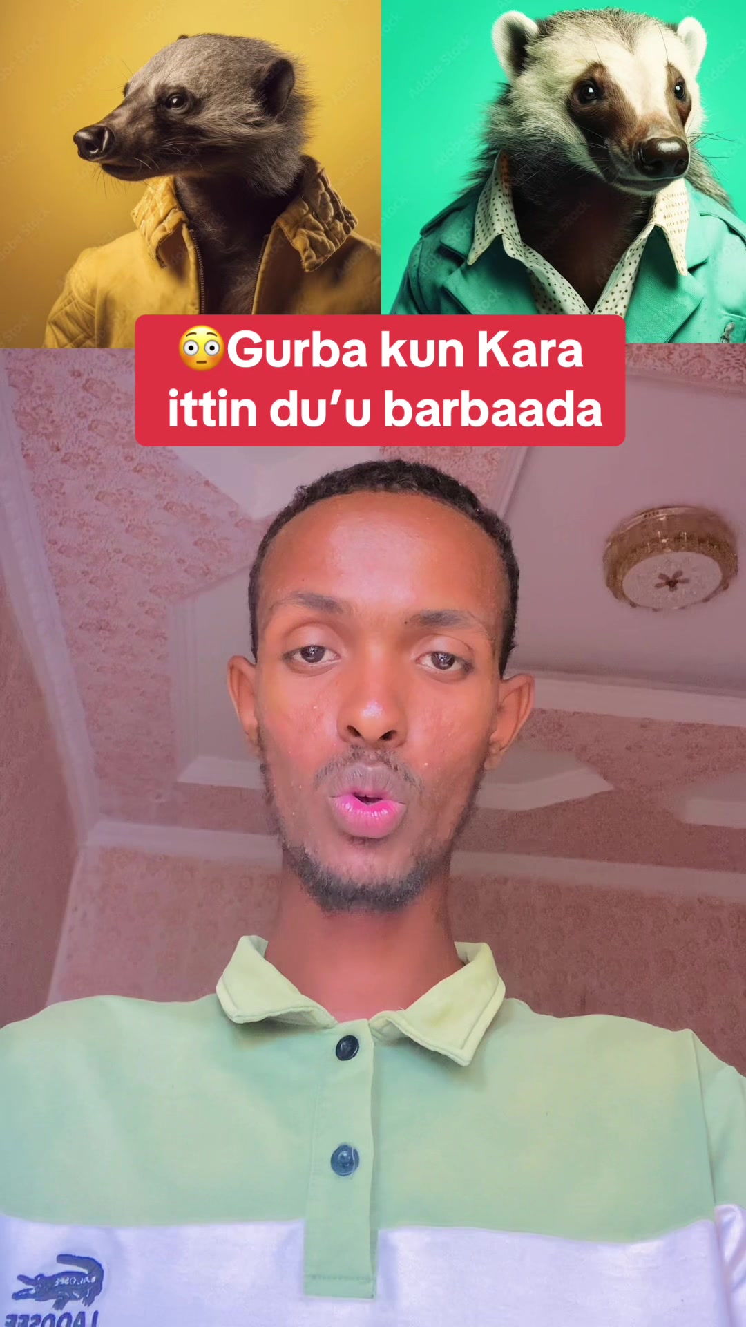 @Marwan Musa