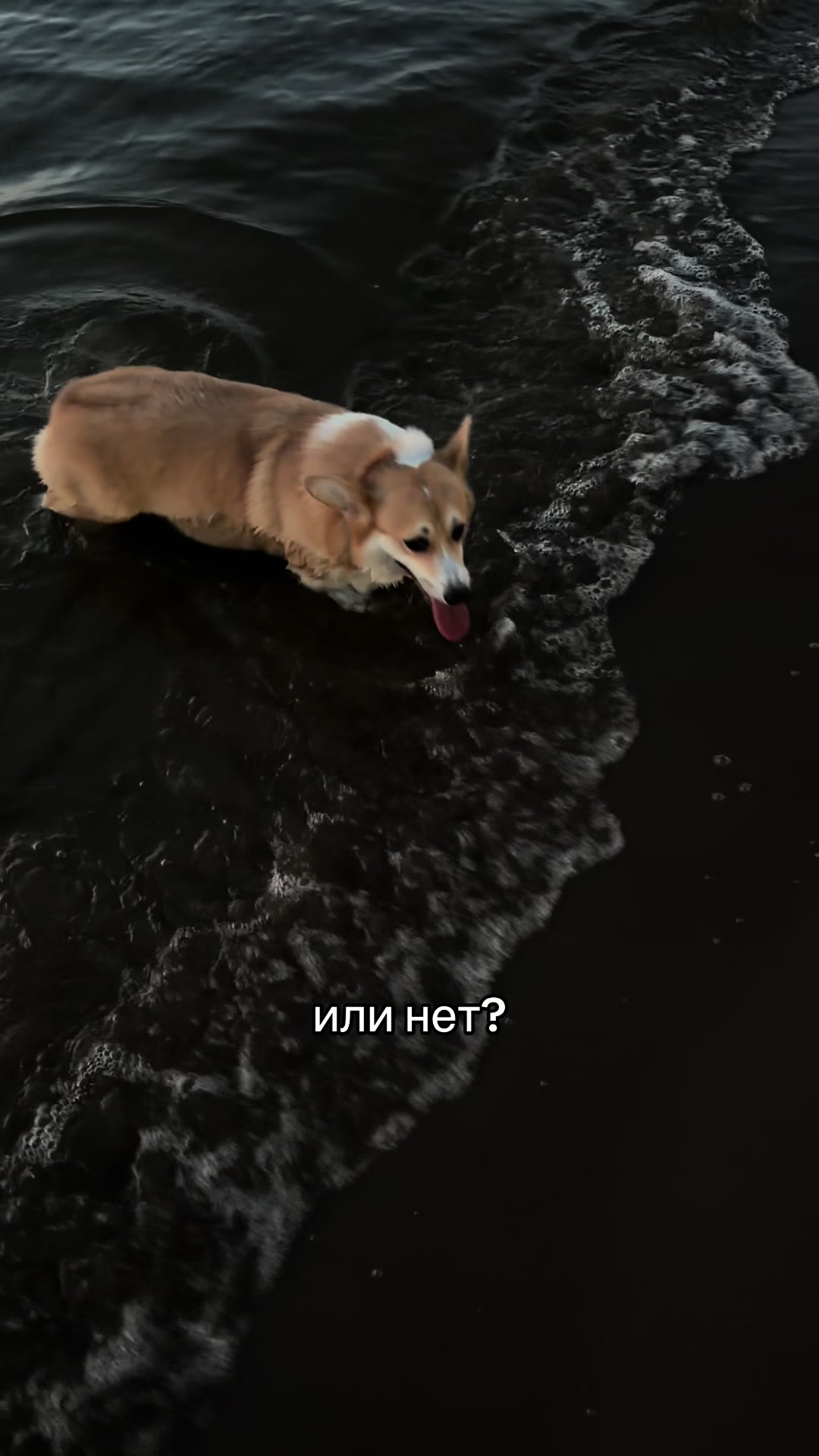@тгк: ЯНА МИСТИК
