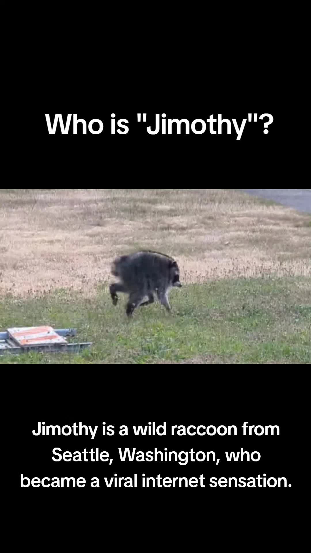 @FollowTheCrowsTV