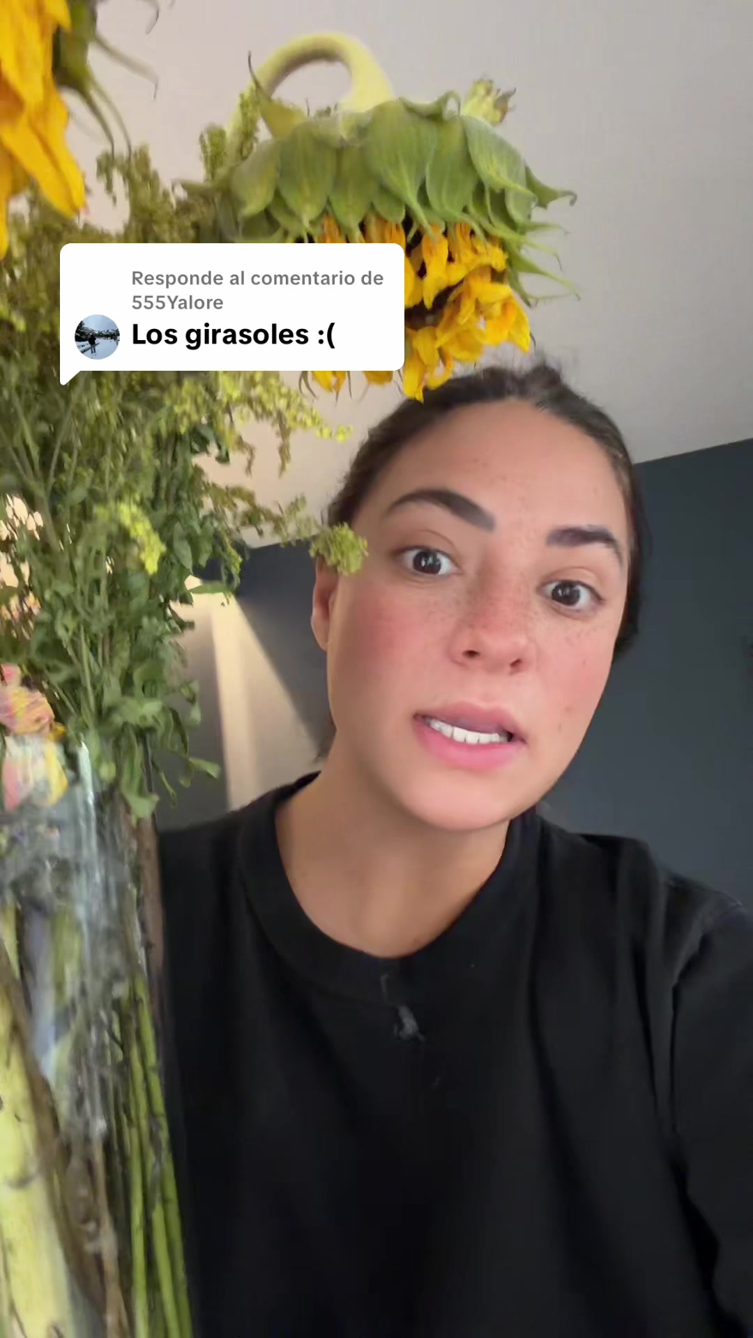 @Luciallamasmartinez