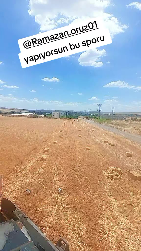 @Salim oruz