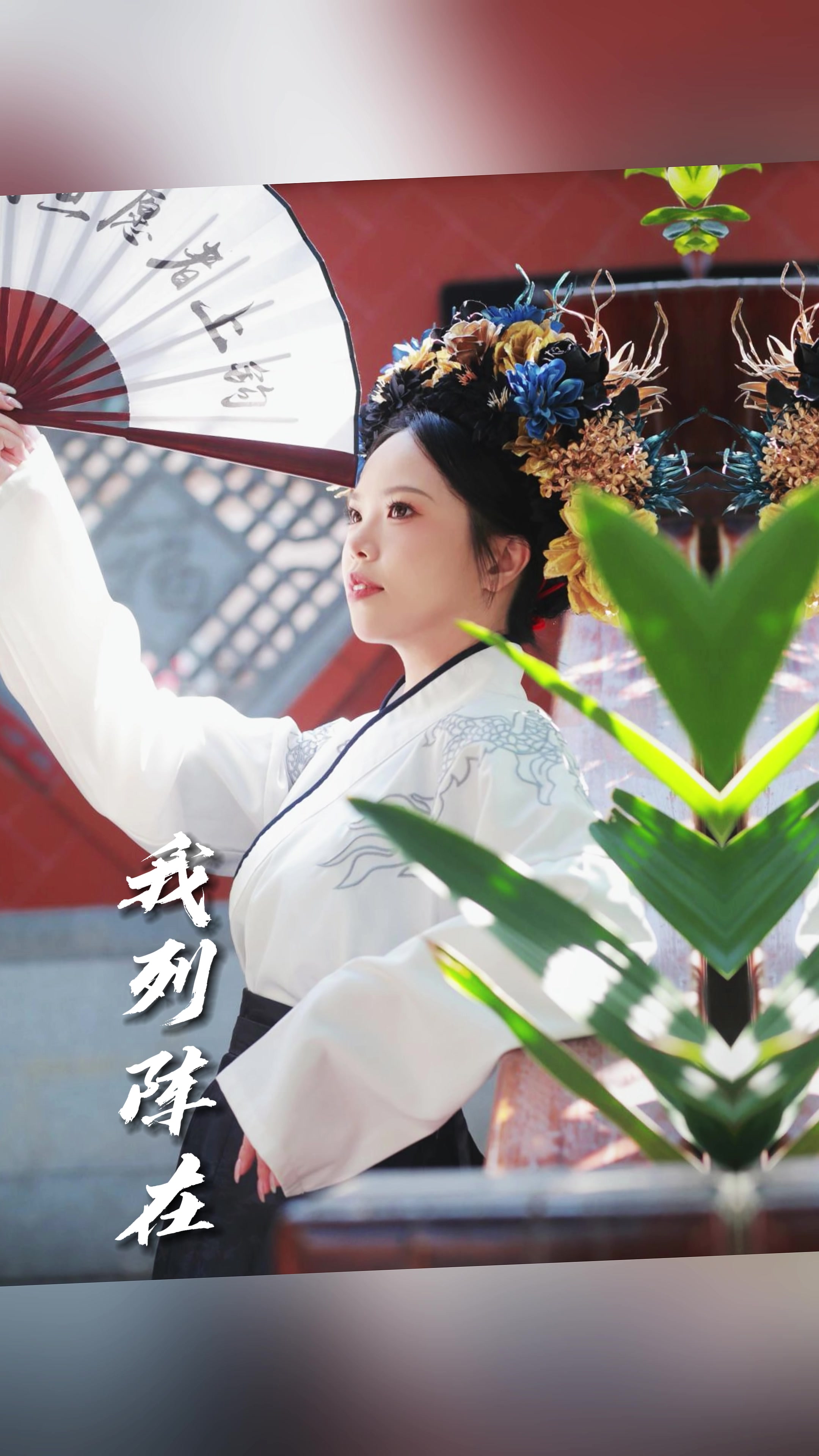 @佛系中年小助手🧚🏿♀️