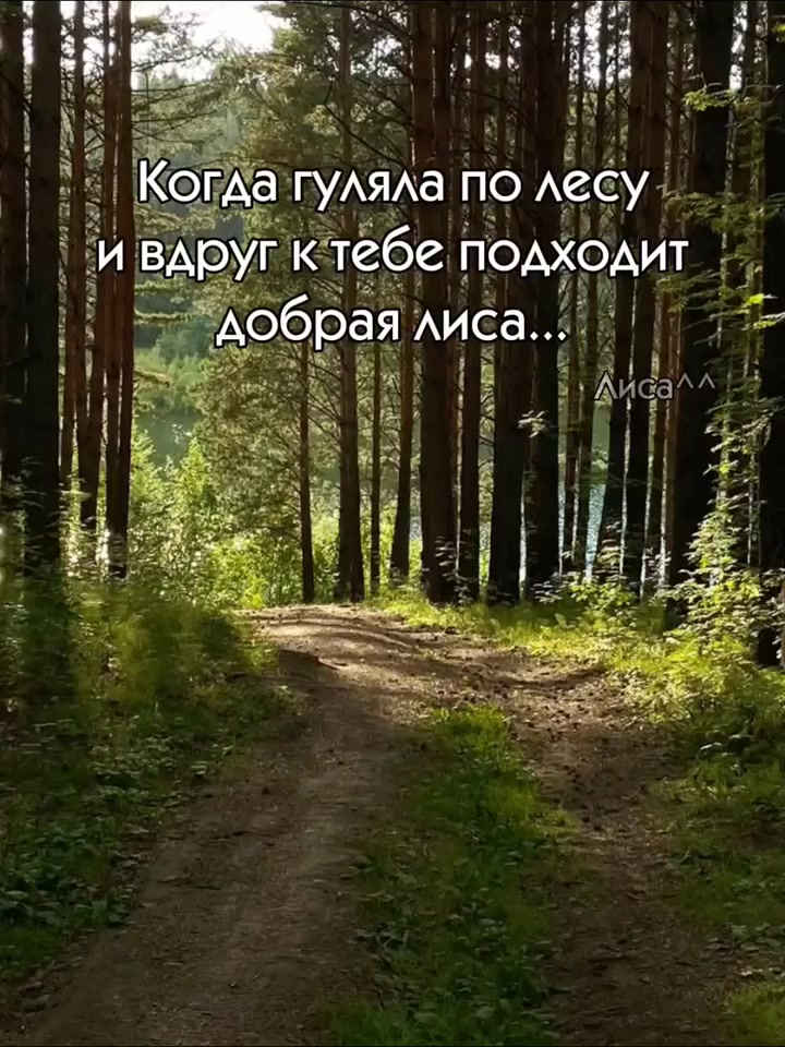 @Макс:Lisa_rbx💋🦊