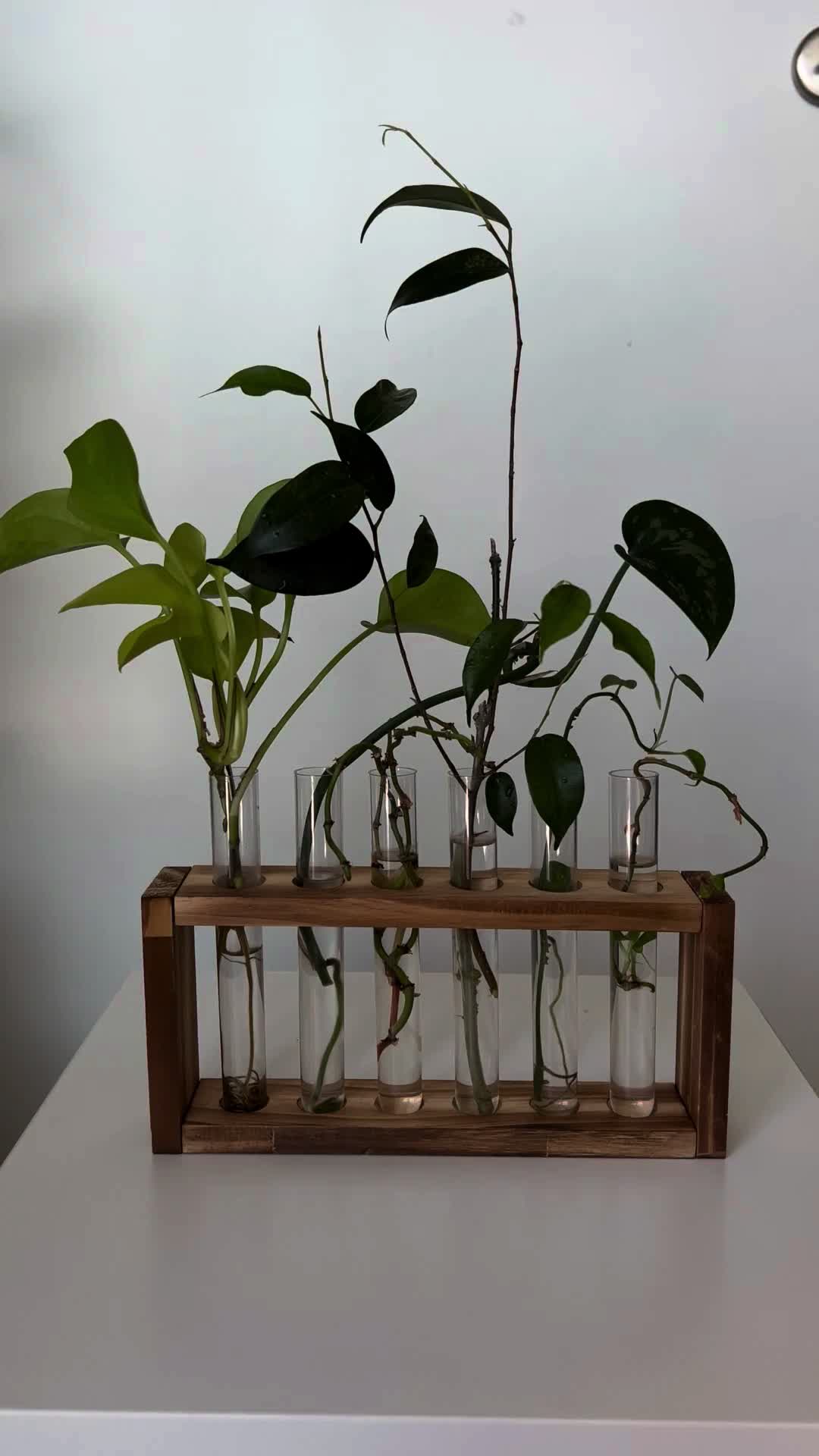 @Plant House & Garden