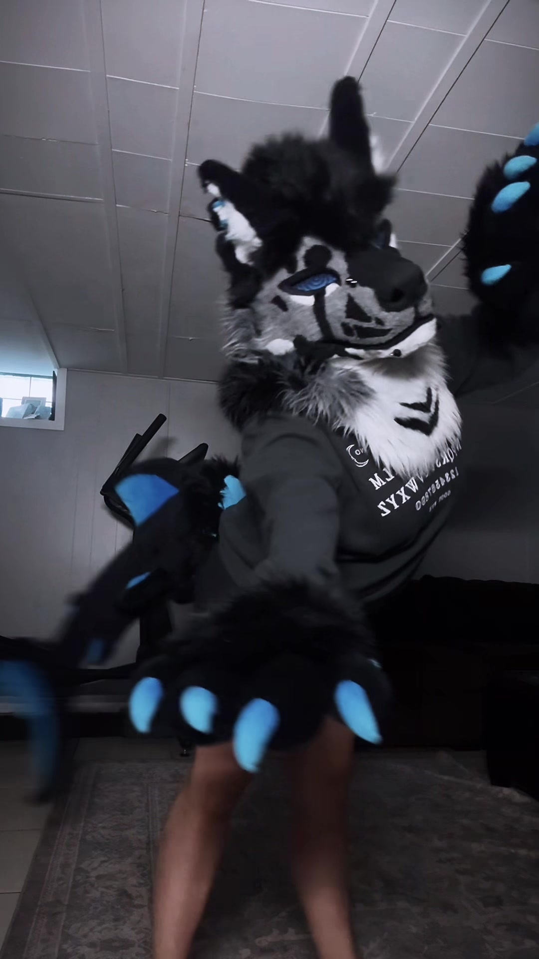 @sonar_hyena_shark