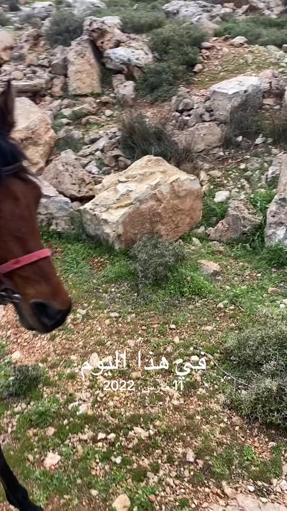@عبد ابو خضير