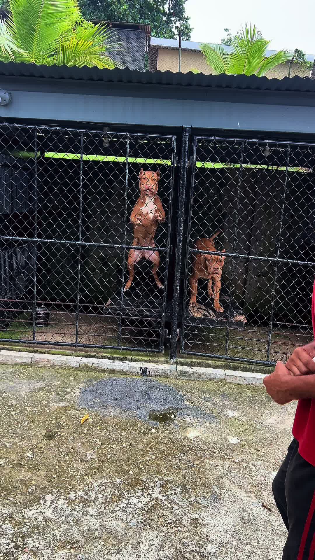 @Sunshine Acres Homestead
