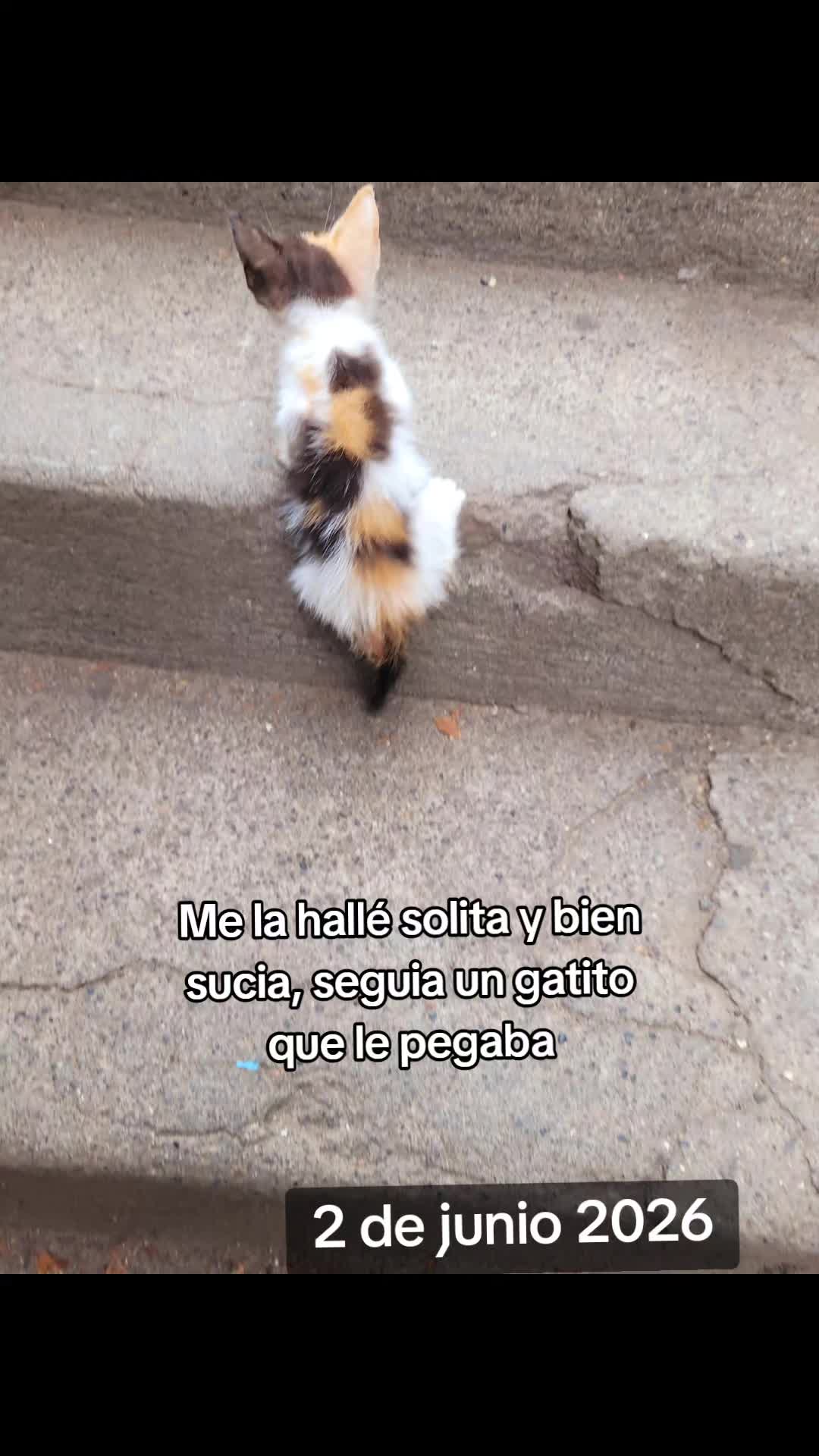 @𝕃𝕚𝕤𝕤 ℝ𝕖yes🇸🇻