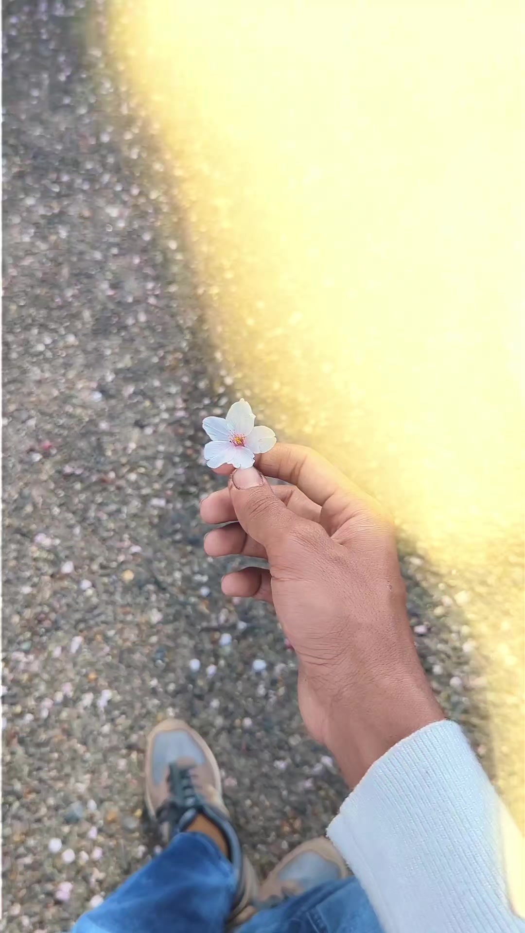 @Taلha 🇯🇵