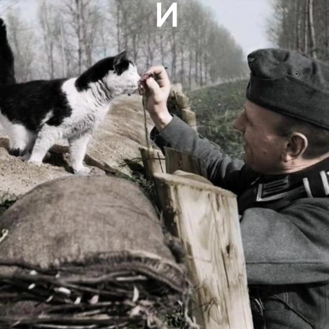 @Кефир.