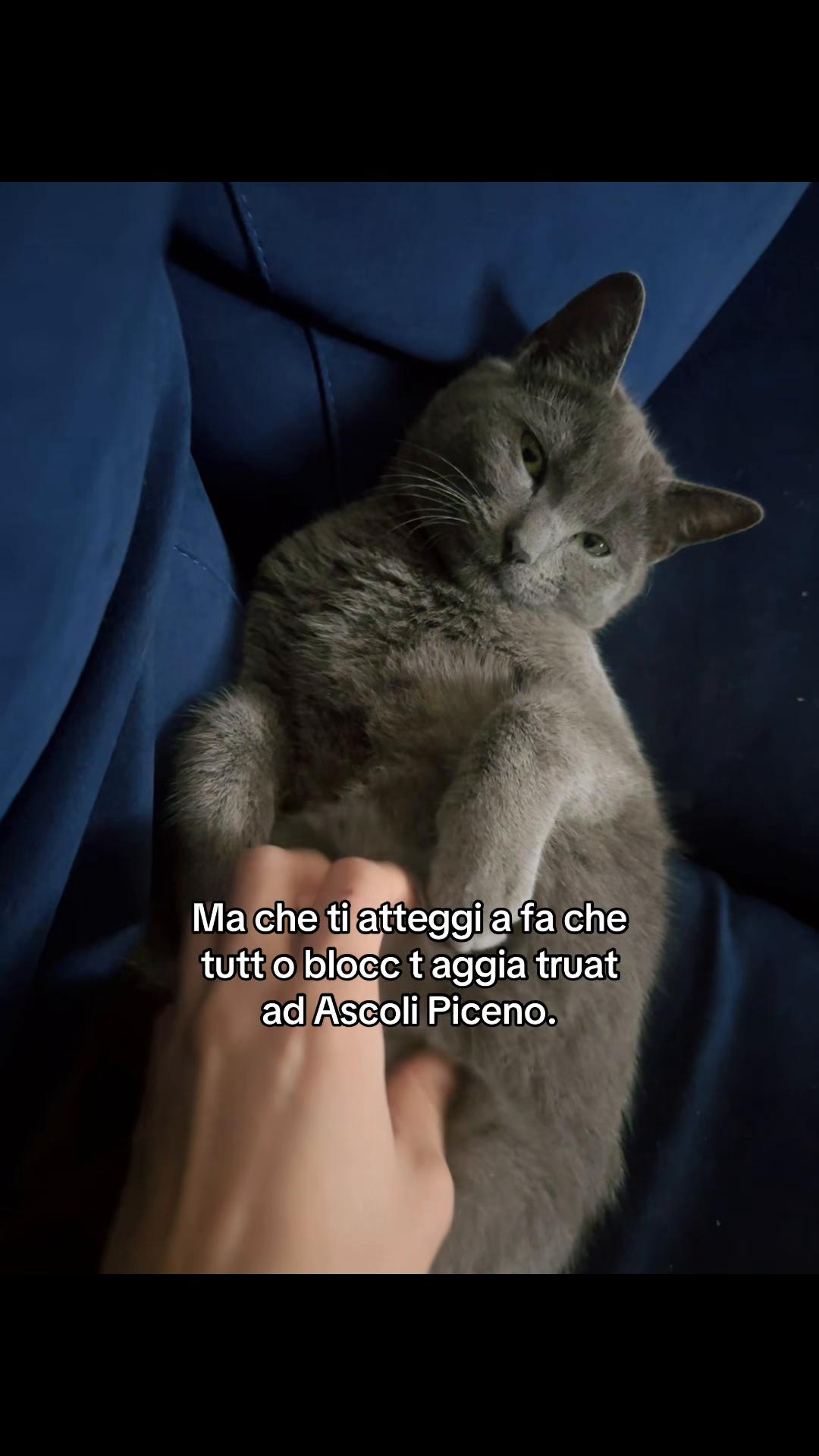@Jeynas ๐