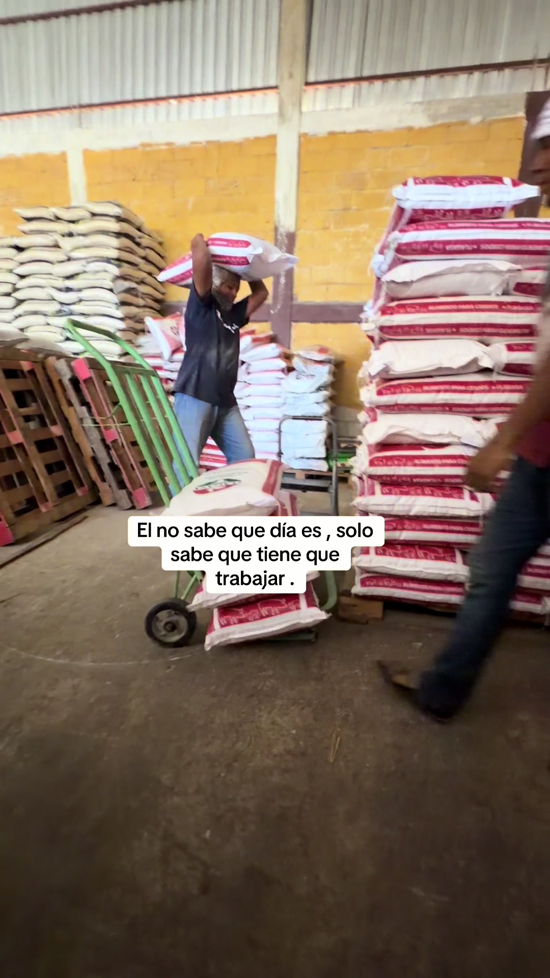 @agrovenmx