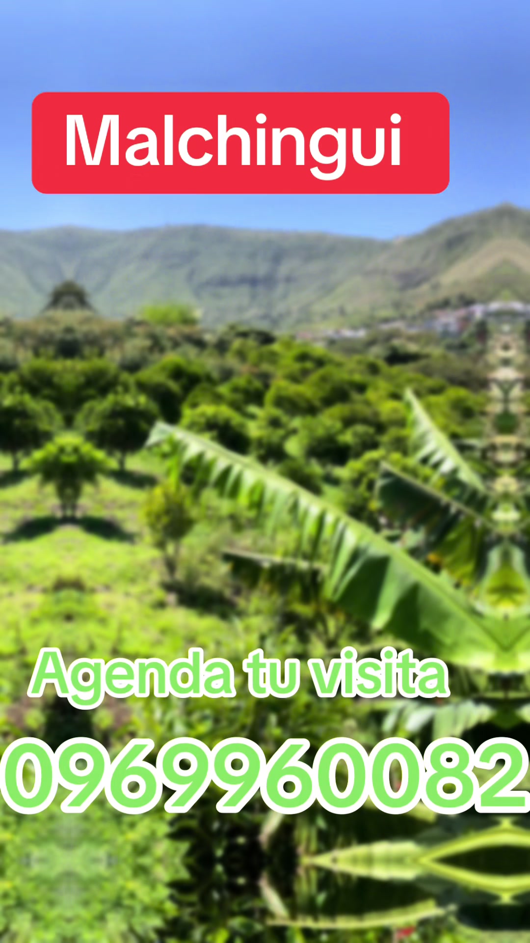 @Sara Chela Agente Inmobiliaria