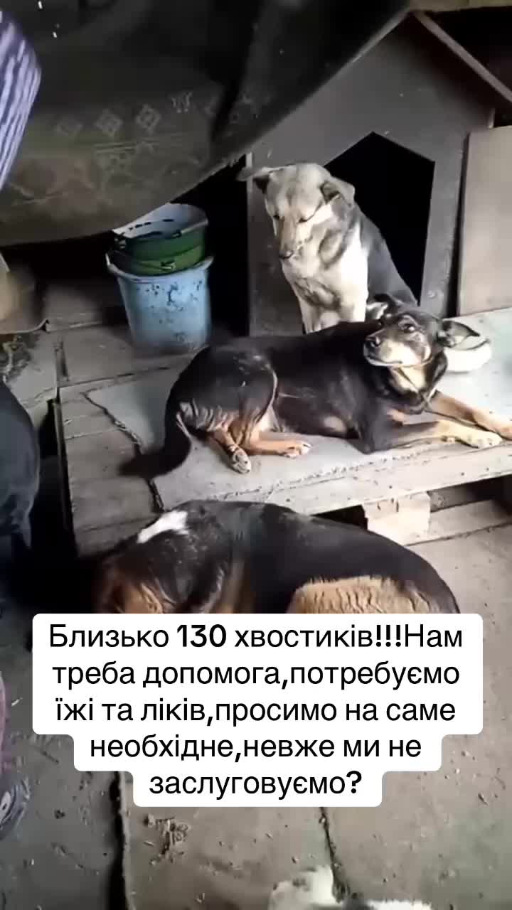 @kvitochki222