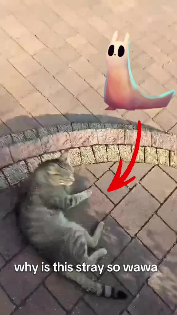 @๐๐๐๐โฟ๐