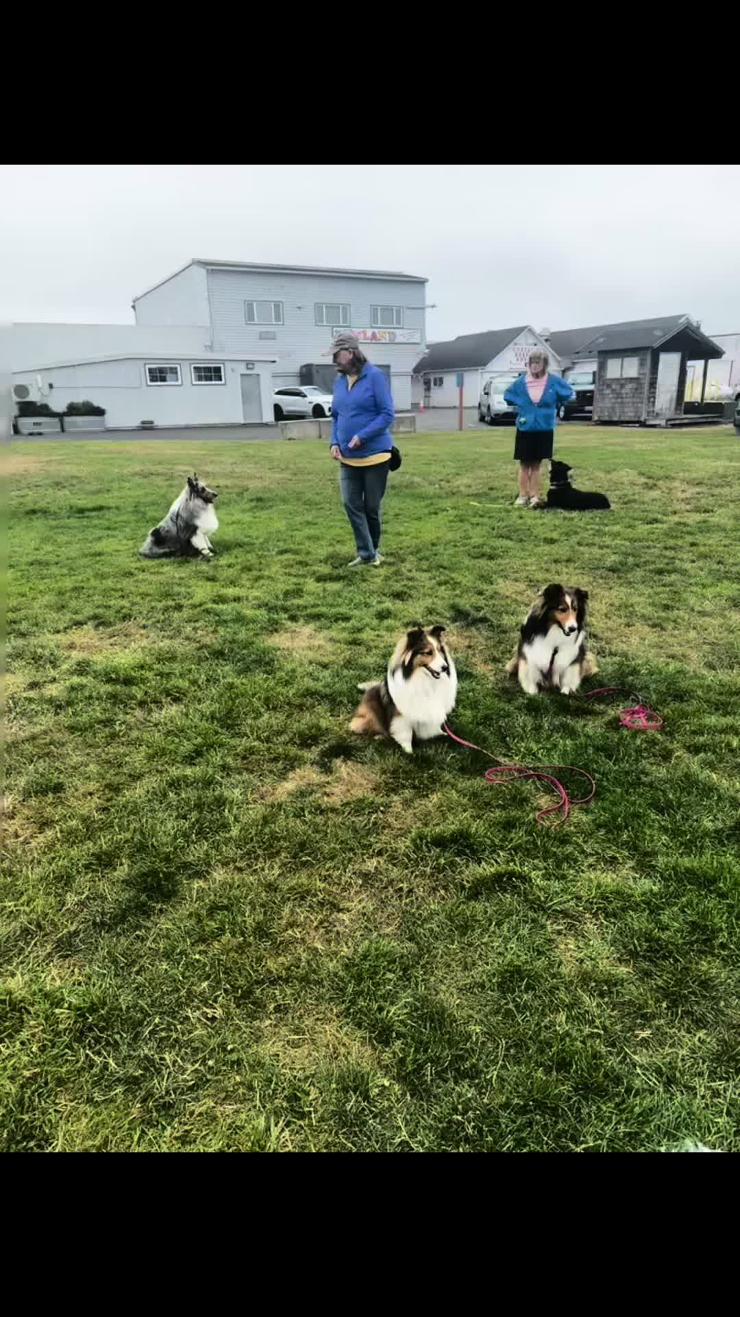 @Heather Discovery Canine Adv.