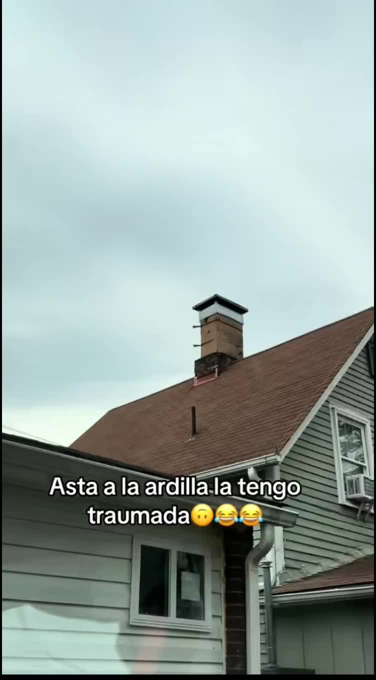 @rulis138