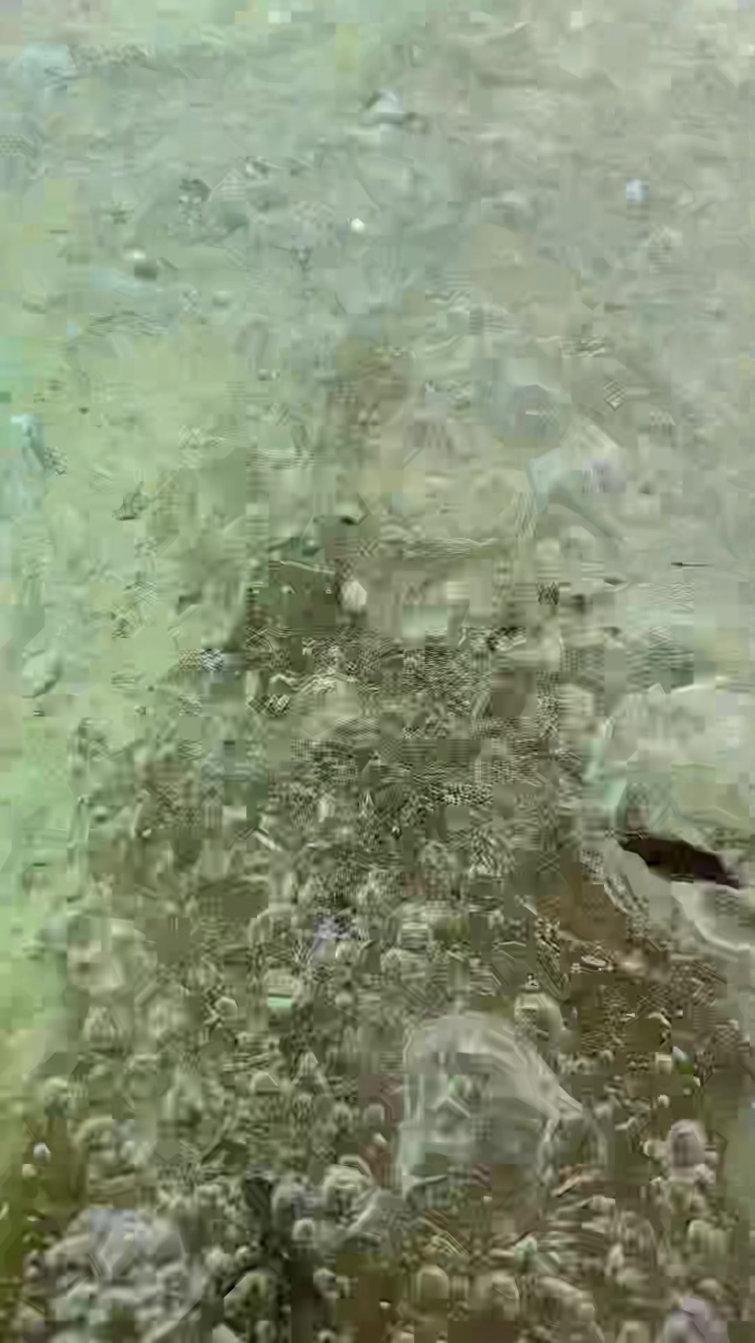 @Xhalix_Xhalix