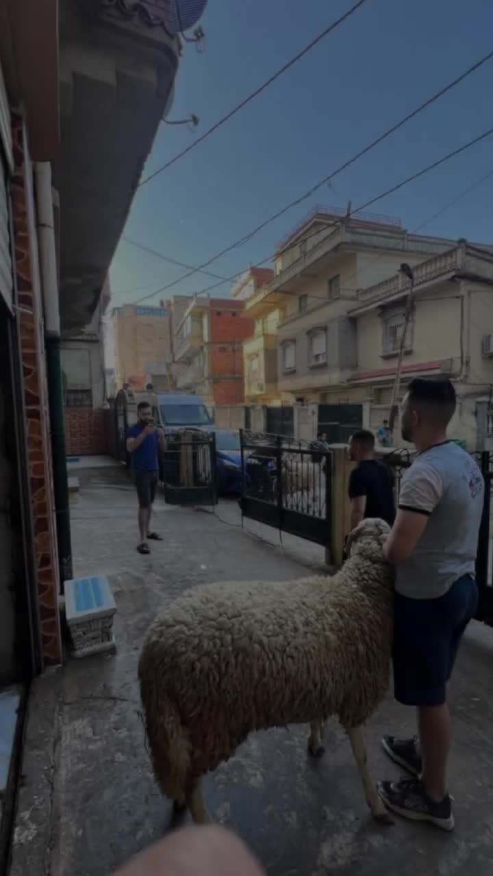 @baynou