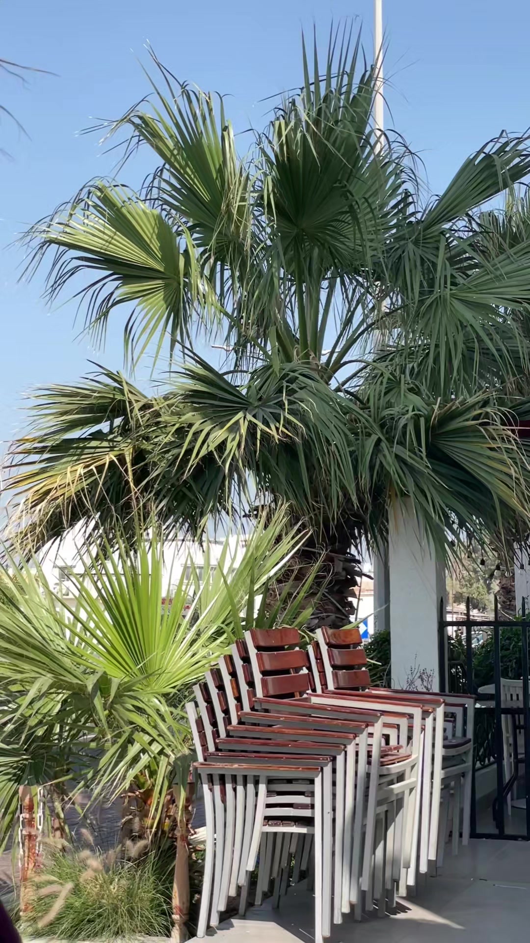 @sojib 🇧🇩🇶🇦