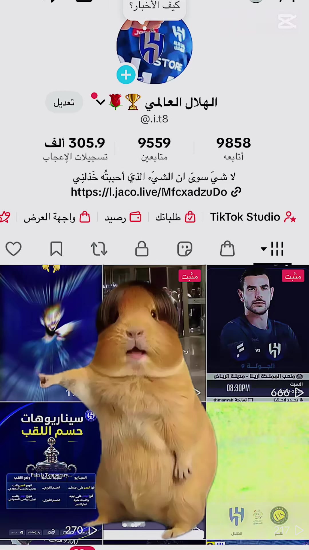@الهلال العالمي 🏆🌹